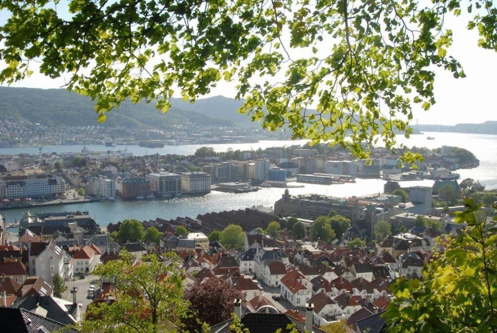 Apartament New! Modern City Apt: Central W/ Private Entrence Bergen Zewnętrze zdjęcie